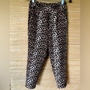 NWTAdilyn leopard pants sz S-M.Tag is S but run big.Elastic waist for fit.Dressy